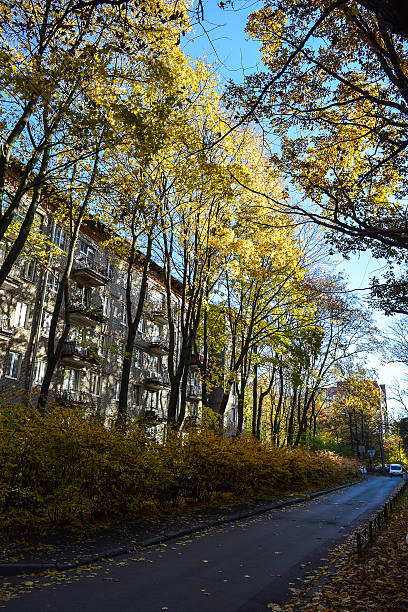 istock Autumn time in the city. 495230320