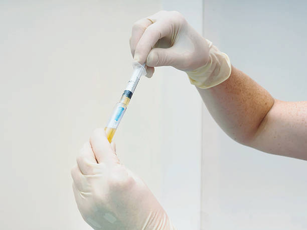 istock Hands holding separated blood and plasma in test tube laboratory 495230988