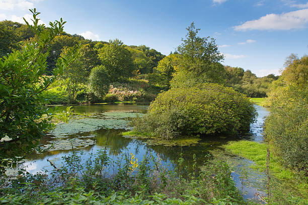 istock Otterhead Lakes East Devon England uk in the Blackdown Hills 495232278