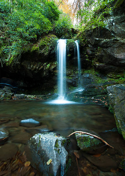 istock Grotto Falls in Great Smoky Mountain 495235131