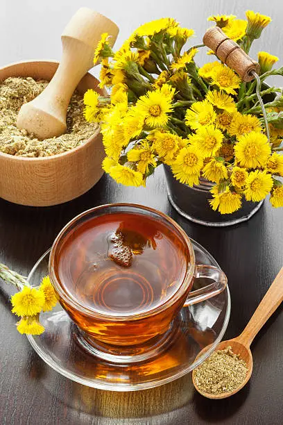 healthy tea closeup, bucket with coltsfoot flowers and mortar on table, herbal medicine