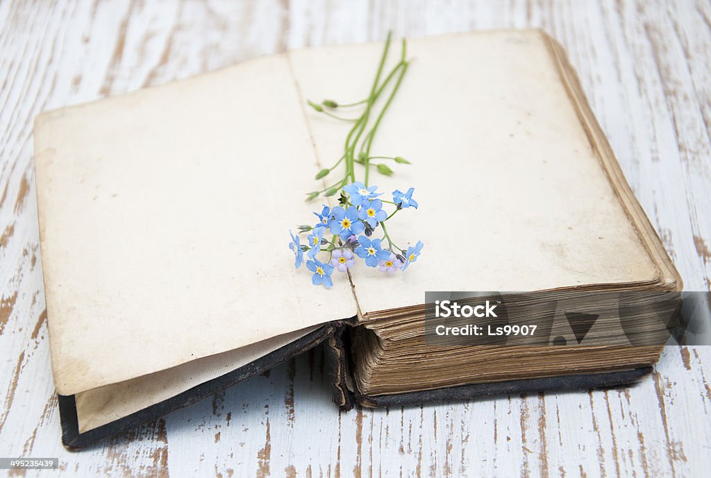 Old Book Bunch of forget-me-nots flowers and very old book Abstract Stock Photo