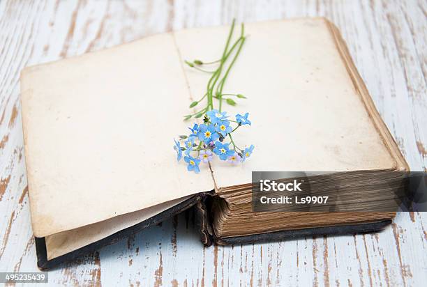 Old Book Stock Photo - Download Image Now - Abstract, Ancient, Beauty In Nature