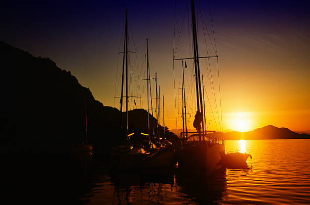 istock Waking up to a summer morning 495235697