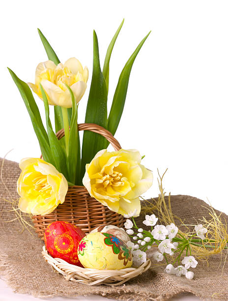 Easter eggs with  yellow tulips stock photo