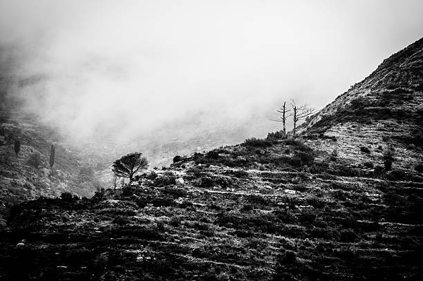 istock dawn fog in the mountains 495237218