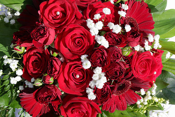 Rose bouquet stock photo