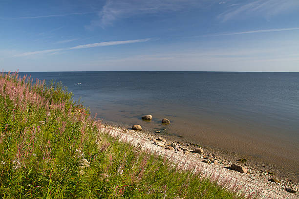 istock rocks by the sea 495239851