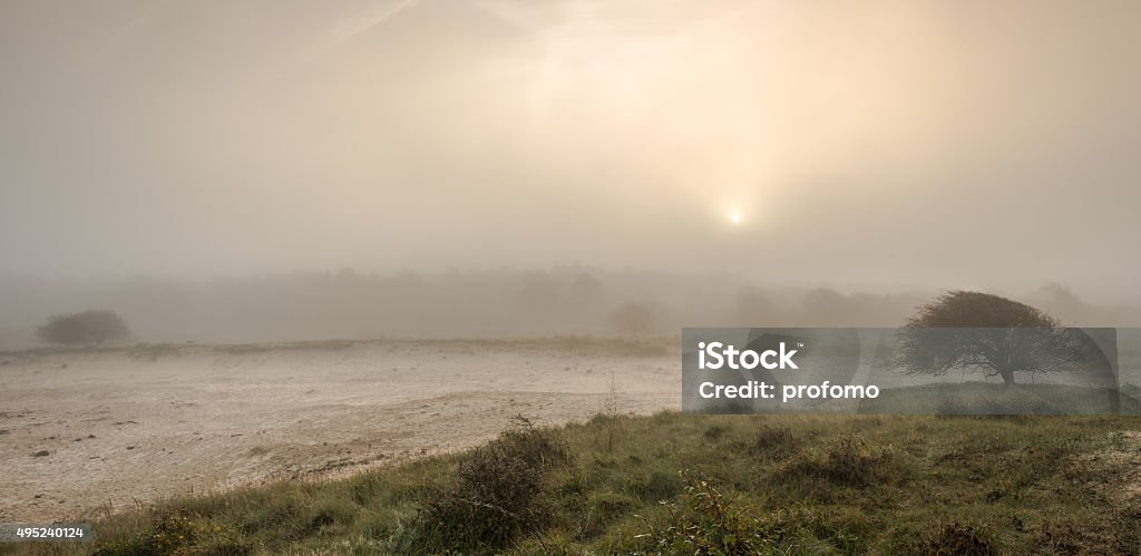 First light. Early morning in autumn. At Camperduin, The Netherlands 2015 Stock Photo