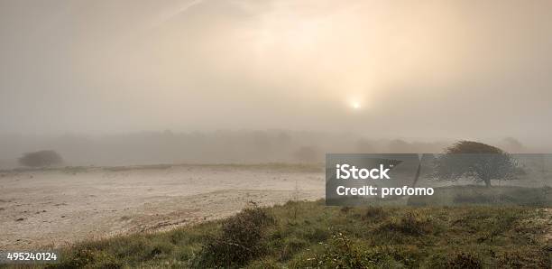 First Light Early Morning In Autumn At Camperduin The Netherlands Stock Photo - Download Image Now