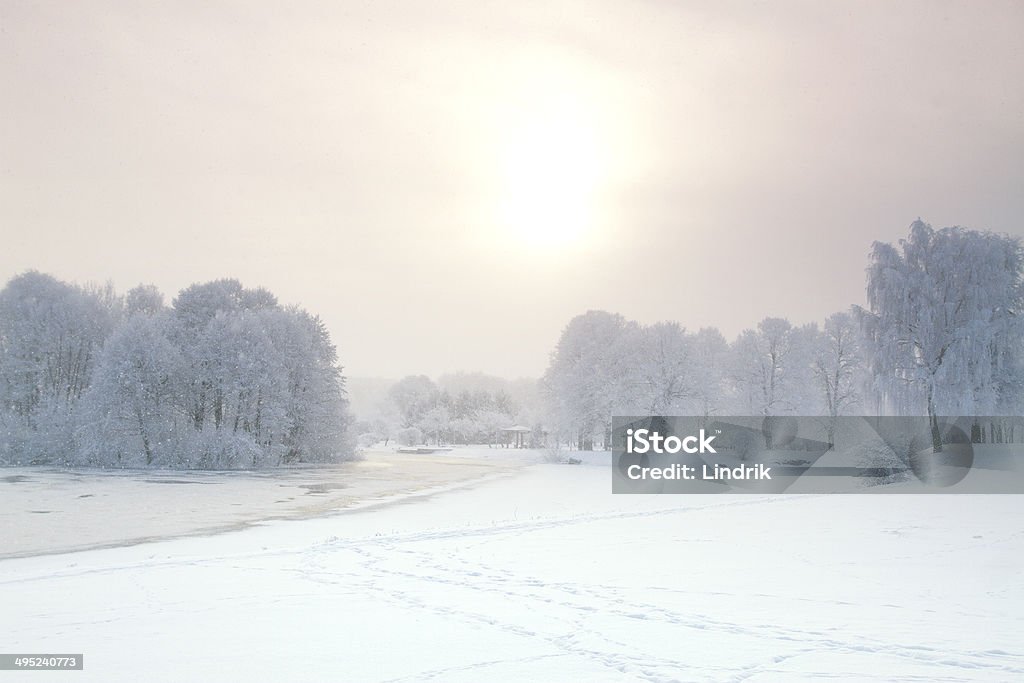 winter Лес - Стоковые фото Без людей роялти-фри