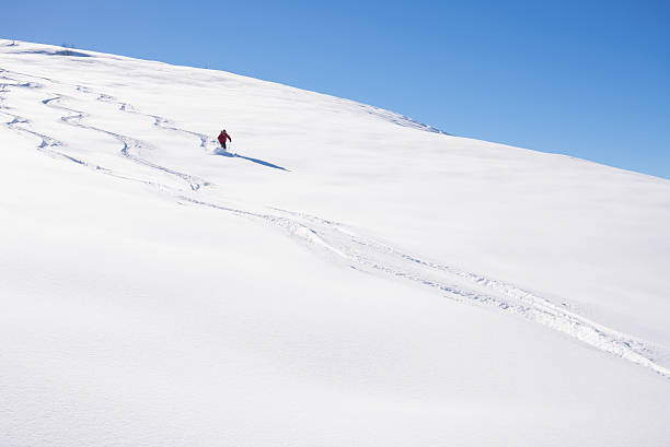 istock Freeriding on fresh powder snow 495241590