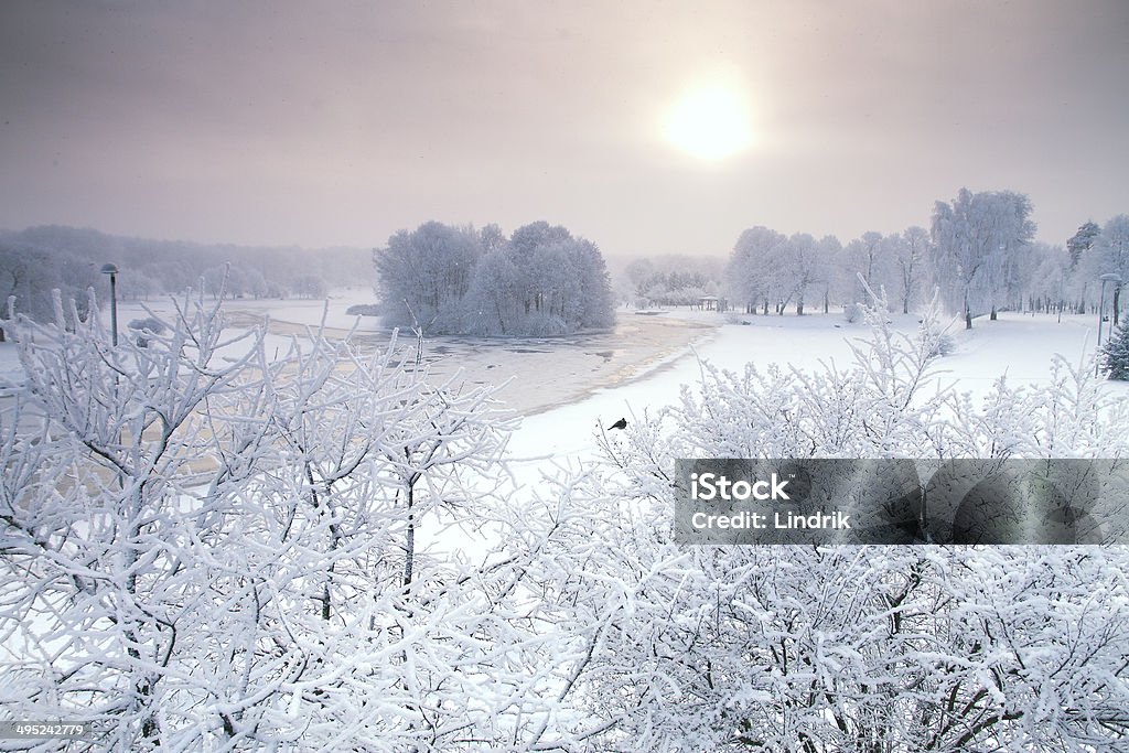 Floresta de Inverno - Royalty-free Azul Foto de stock