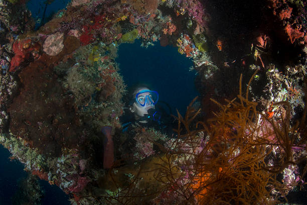 istock Japanese wreck and diver - Palau, Micronesia 495243764