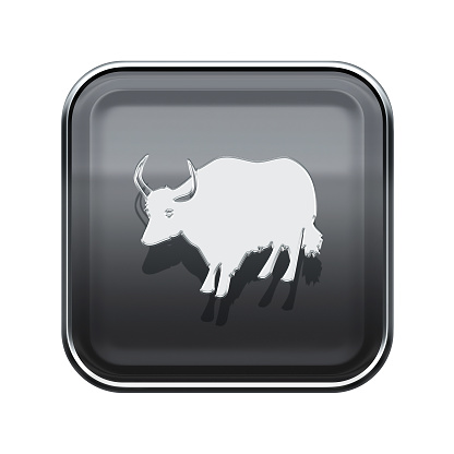 Ox Zodiac icon grey, isolated on white background.