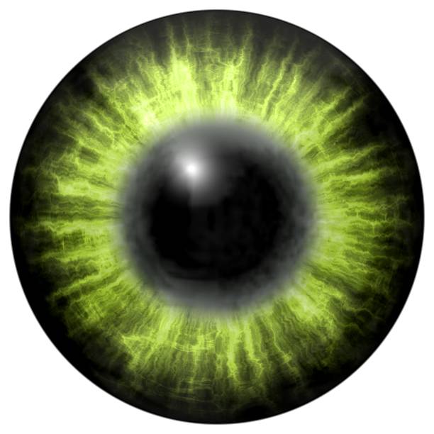 istock bright green human  eye with middle pupil and dark retina. 495252040