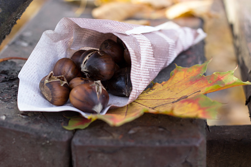 roasted chestnuts on the wooden bench