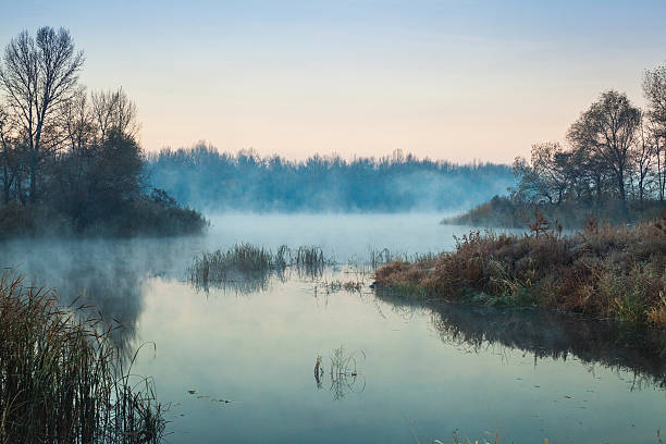 istock Fog on the lake. Autumn morning 495253004
