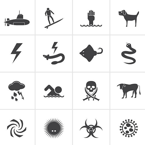 illustrations, cliparts, dessins animés et icônes de noir des panneaux d'avertissement de danger de mer, avec vue sur l'océan - flash menu