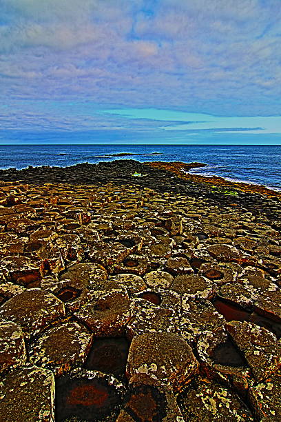 giant's causeway pasos hasta el mar - national trust northern ireland uk rock fotografías e imágenes de stock