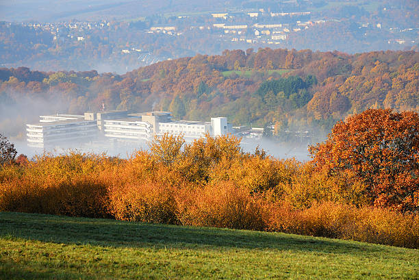 Public hospital building in forest valley with fog stock photo