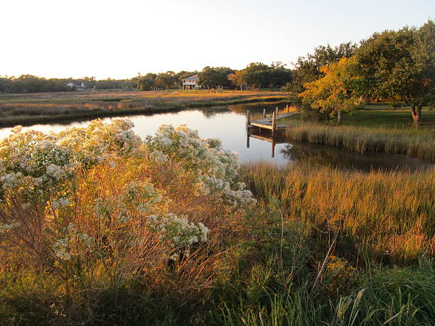 saltwater waterway und marsh - mississippi river stock-fotos und bilder