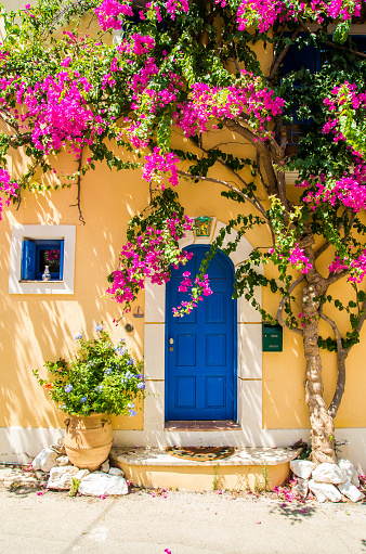Blue door and blue window surrounded by magenta flowers.
