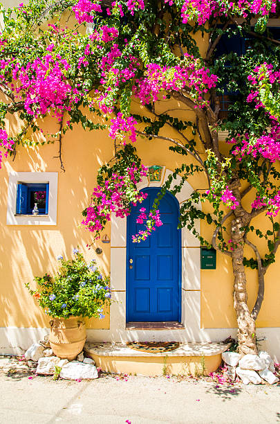Traditional greek house with flowers in Assos, Kefalonia island, Blue door and blue window surrounded by magenta flowers. corfu stock pictures, royalty-free photos & images