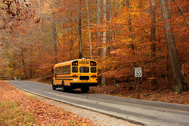 istock School Bus on Rural road in Autumn 495256212