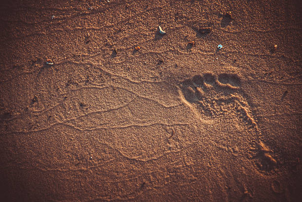 istock Footprint in the sand 495267444