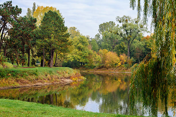 istock The Rotehornpark Urban park Adolf-Mittag-See 495268912
