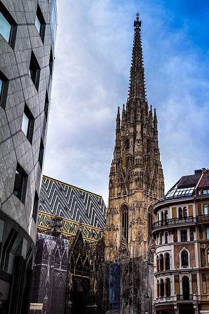 stephansdome vienna - städteurlaub fotografías e imágenes de stock