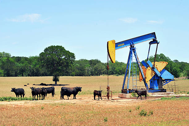 pozzo petrolifero autopompa. - oil pump oil industry prairie field foto e immagini stock