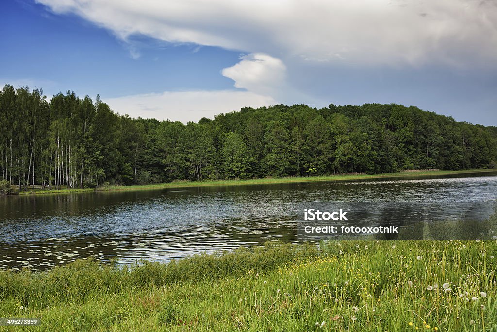 Cielo blu, verde legno, fiume e meadow - Foto stock royalty-free di Acqua