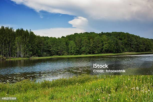 Cielo Blu Verde Legno Fiume E Meadow - Fotografie stock e altre immagini di Acqua - Acqua, Albero, Ambientazione esterna