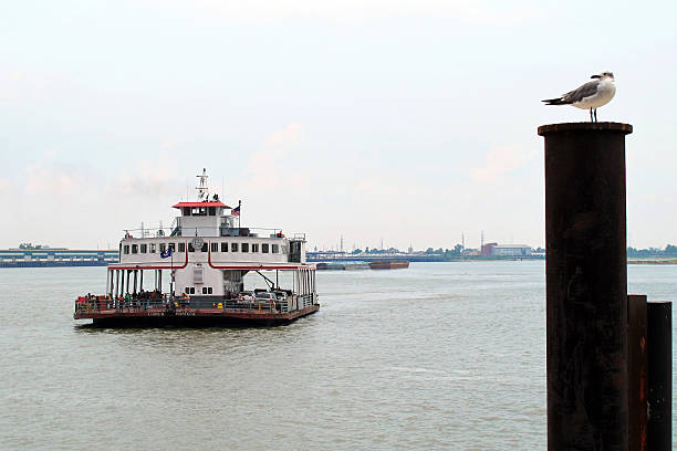 istock Ferryboat on Mississippi River 495273439