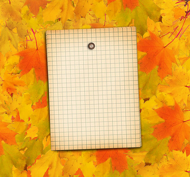 istock Old grunge paper with autumn maple branch leaves 495273621