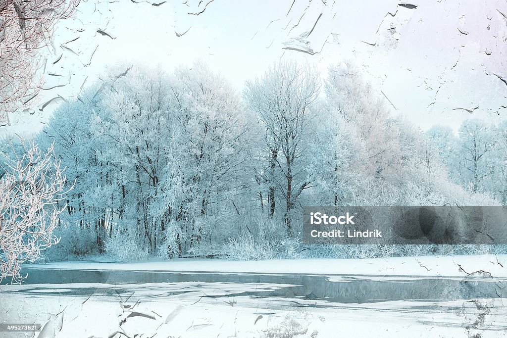 zimowy las - Zbiór zdjęć royalty-free (Bez ludzi)