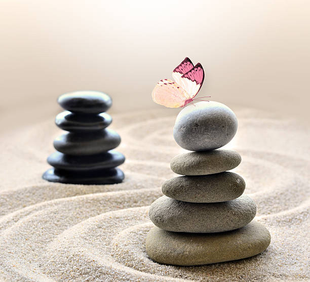 istock Butterfly and stones balance 495274244
