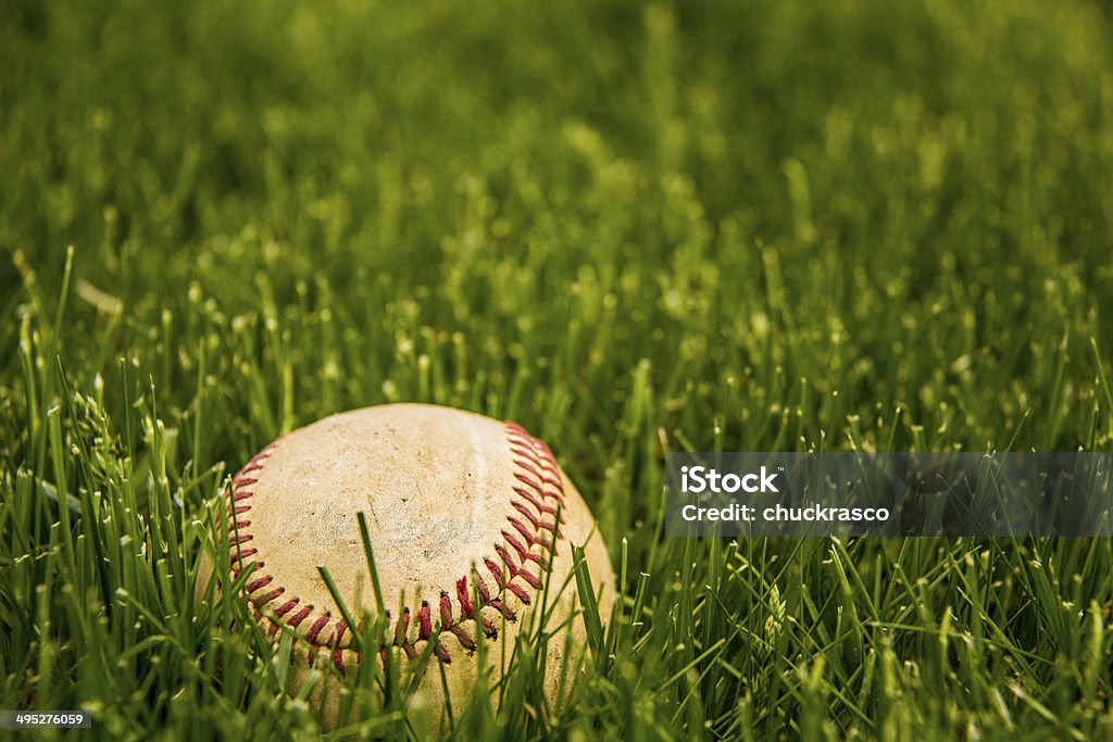 America's Pasttime A worn baseball lying in the grass. Baseball - Ball Stock Photo