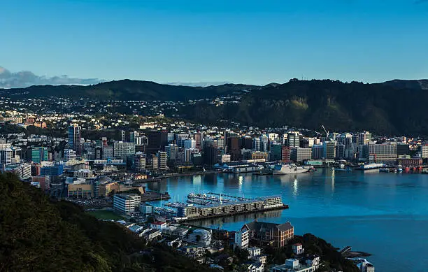 The city of Wellington with it's blue harbor.