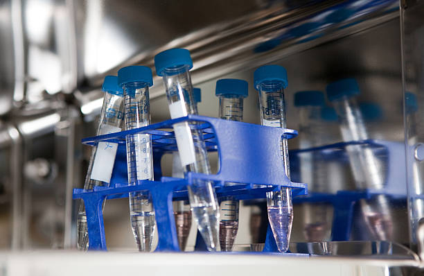 in vitro-geräte - eizelle stock-fotos und bilder