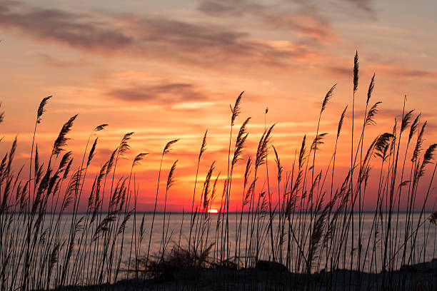 Chesapeake Bay Sunrise stock photo