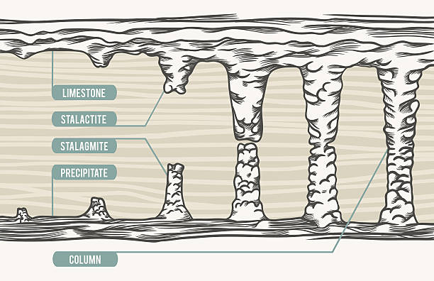 ilustrações, clipart, desenhos animados e ícones de ilustração em vetor de estalactites, estalagmites, texto coluna, - stalactite