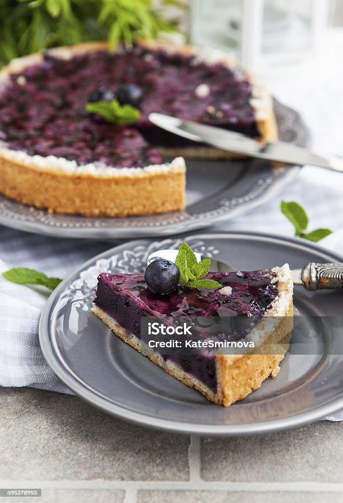 Blueberry pie on the plate Piece of fresh homemade blueberry pie on the plate Baked Stock Photo