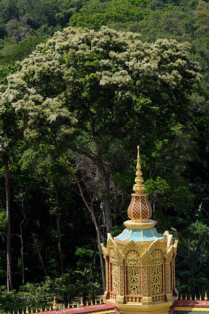 The Great Temple or Chedi Phra Maha Chedi Chai Mongkhon on a hill at Roi Et in the province of Roi Et northwest of Ubon Ratchathani in northeastern Thailand in South-East Asia.