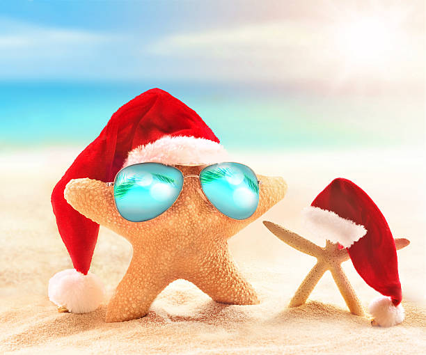 istock starfish in a santa hat and sunglasses 495287776