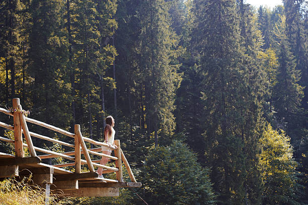istock Girl on observation deck in pine forest 495287832