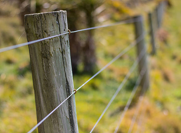 istock Farm Fence 495289132
