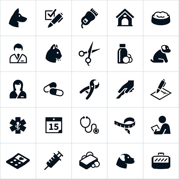 Pet Care Icons Icons related to the care of pets or animals. The icons represent the veterinarian field as well as different supplies and equipment used in the care of pets. They include a veterinarian, dogs, cats, medication, immunization, cleaning, grooming and other related symbols. black german shepherd dog or alsatian wolf dog stock illustrations